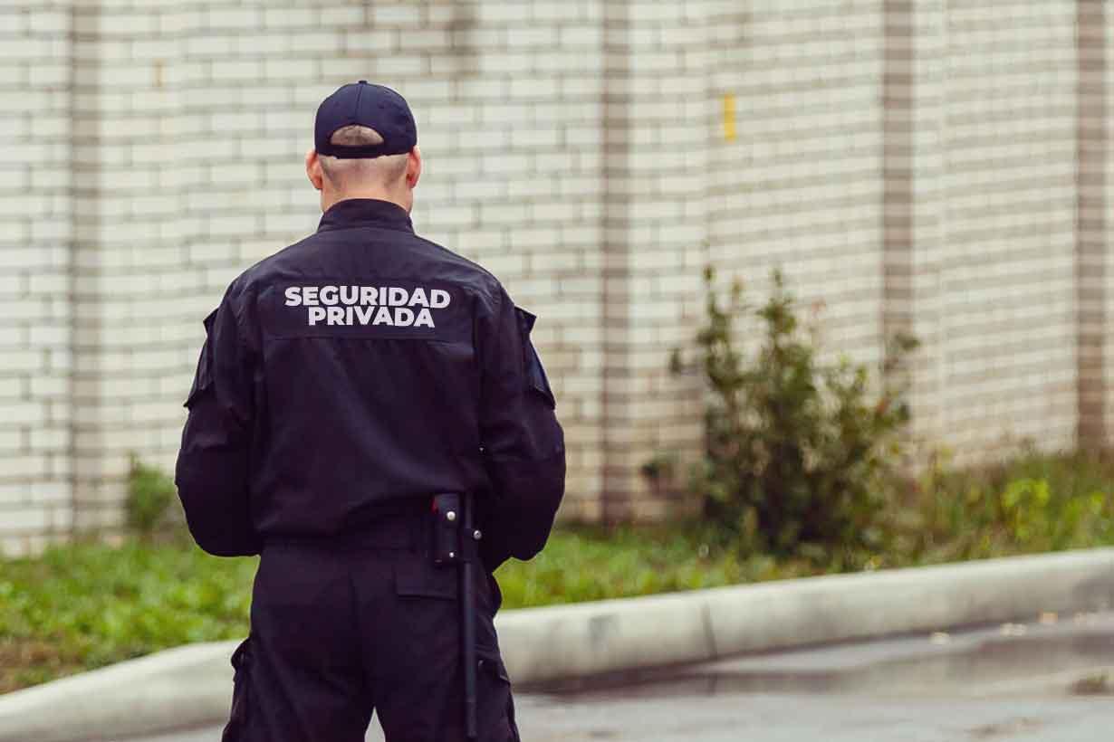 Recomendaciones Prácticas para Empresas ⁢y​ Profesionales ⁤de Seguridad Privada